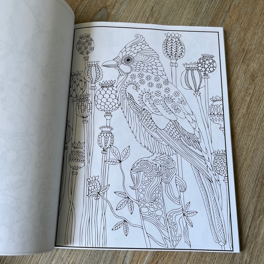 Colorful Coloring Books Set - Picture 9 of 9